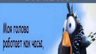 Photo of Смешные истории для хорошего настроения