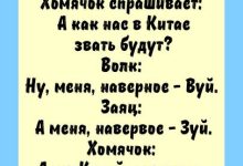 Photo of Юмористические анекдоты про животных