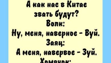 Photo of Юмористические анекдоты про животных