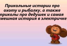 Photo of Смешные и забавные истории на любой вкус