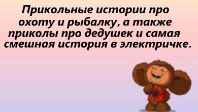 Photo of Смешные и забавные истории на любой вкус