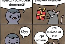 Photo of Новые шутки за 300