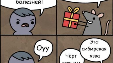 Photo of Шутки для всех за 300